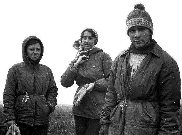 s_19701980_176.jpg