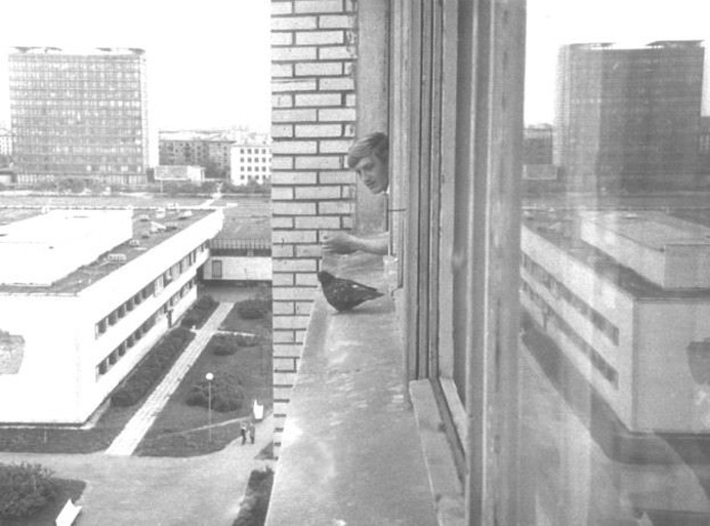 s_19701980_308.jpg