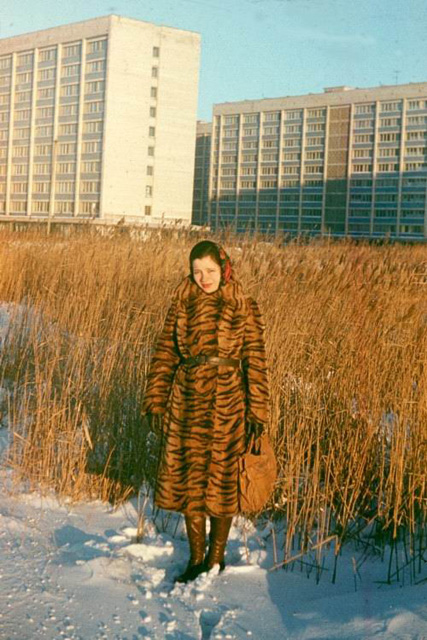 s_19701980_317.jpg