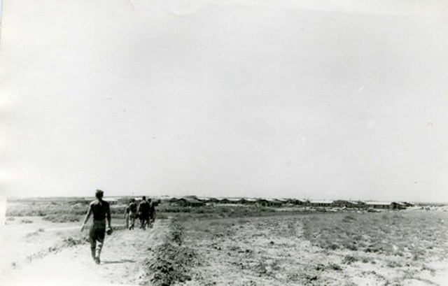 s_19601970_344.jpg