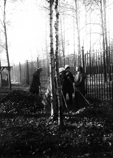 s_19701980_438.jpg