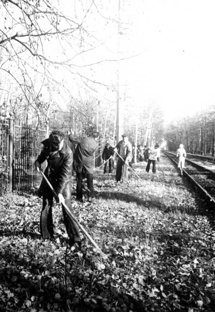s_19701980_457.jpg
