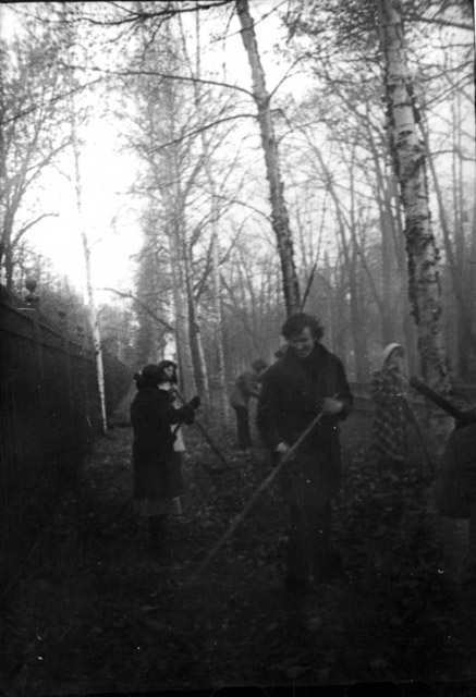 s_19701980_462.jpg