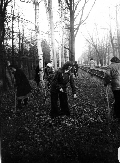 s_19701980_489.jpg