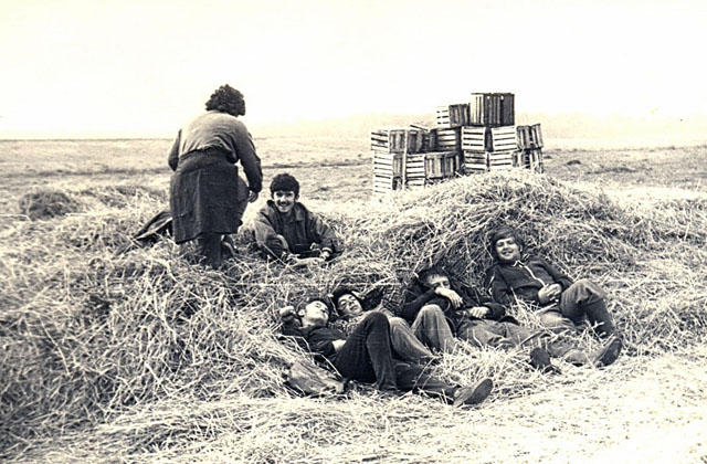 s_19701980_676.jpg