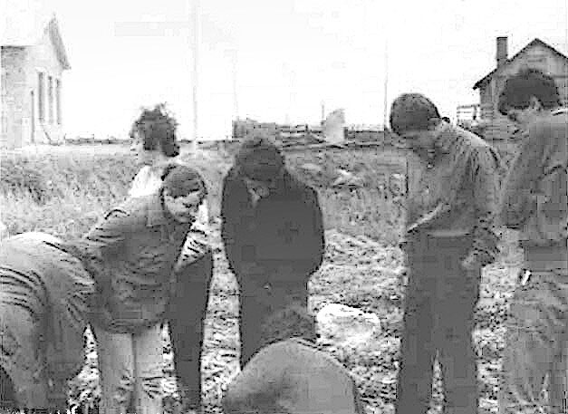 s_19701980_786.jpg
